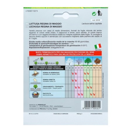 Semillas Lechuga Reina De Mayo (7 gramos) Semillas Verduras, Horticultura, Hortícola, Semillas Huerto.