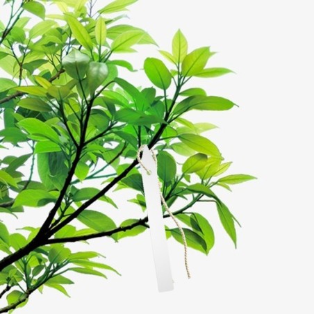 Etiqueta Marcadora Plástico Para plantas Bolsa 250 Unidades