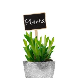 Etiqueta Marcadora Madera Con Efecto Pizarra Para plantas Bolsa 10 Unidades