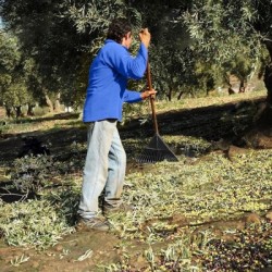 Rastrillo Plástico Trapezoidal Color Negro 32 Dientes