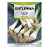 Semillas Cebolla Blanca (4 gramos) Semillas Verduras, Horticultura, Hortícola, Semillas Huerto.