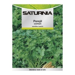 Semillas Perejil Común (8 gramos) Semillas Verduras, Horticultura, Hortícola, Semillas Huerto.