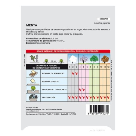 Semillas Aromáticas Menta (0.3 gramos) Horticultura, Hortícola, Semillas Huerto.