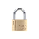 Candado Latón Arco Normal 50 mm. Serie Target. Arco Endurecido. Candado Maletas, Candado Taquillas, Candado Puertas