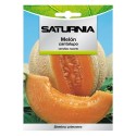 Semillas Melón Cantalupo (3 gramos) Semillas Frutas, Horticultura, Hortícola, Semillas Huerto.