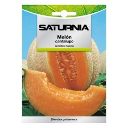 Semillas Melón Cantalupo (3 gramos) Semillas Frutas, Horticultura, Hortícola, Semillas Huerto.
