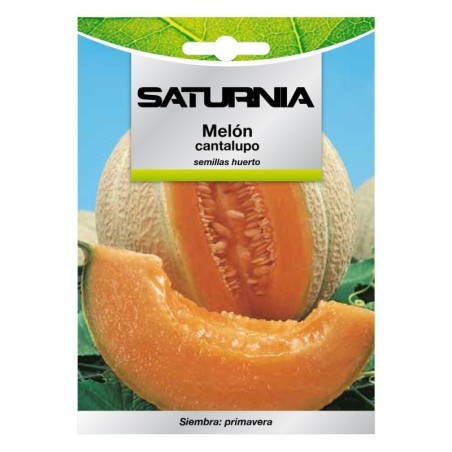 Semillas Melón Cantalupo (3 gramos) Semillas Frutas, Horticultura, Hortícola, Semillas Huerto.